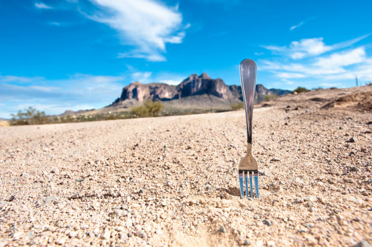 fork in the road