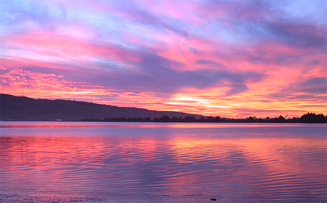 pink sunset