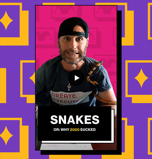 snakes video