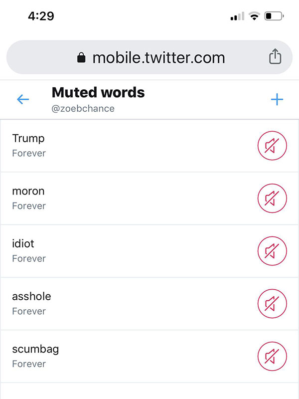 twitter muted example